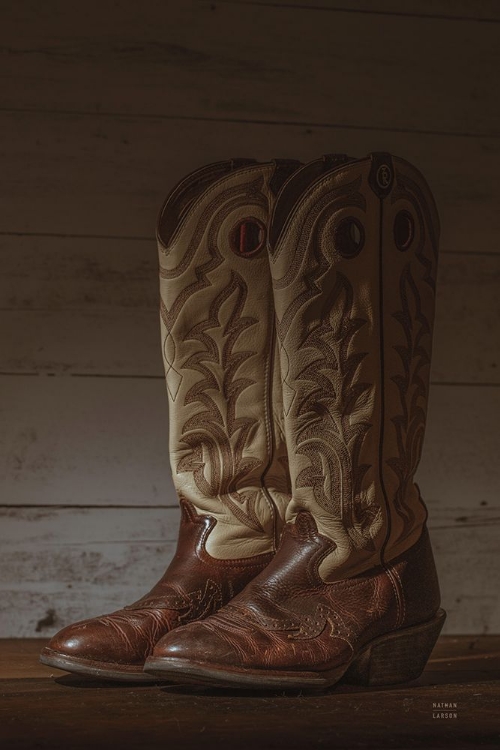 Picture of COWBOY BOOTS VIII