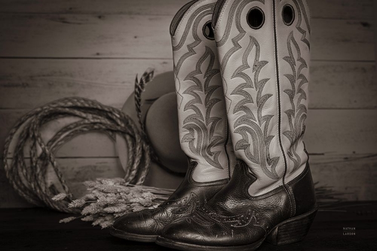 Picture of COWBOY BOOTS IX