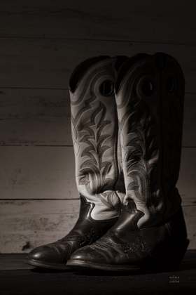 Picture of COWBOY BOOTS VIII BW