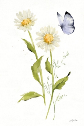 Picture of WILD FOR WILDFLOWERS IV