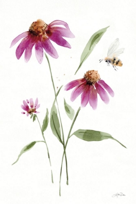 Picture of WILD FOR WILDFLOWERS V