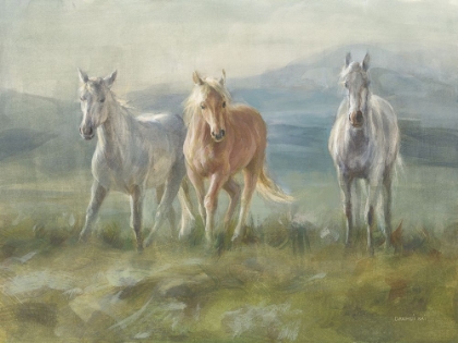 Picture of RANGELAND HORSES