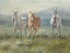 Picture of RANGELAND HORSES