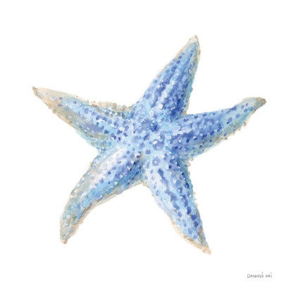 Picture of UNDERSEA STARFISH