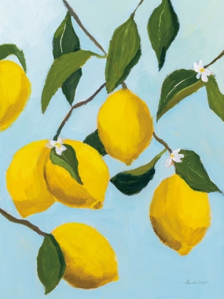 Picture of LEMON TREE