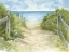 Picture of CAP COD PATH