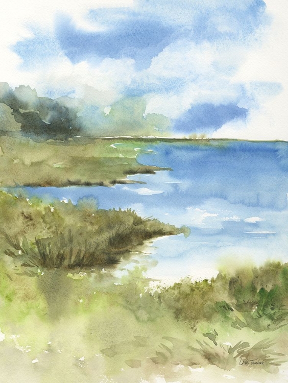 Picture of CAPE COD COVE