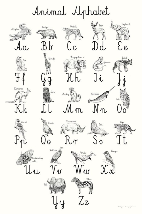 Picture of ANIMAL ALPHABET