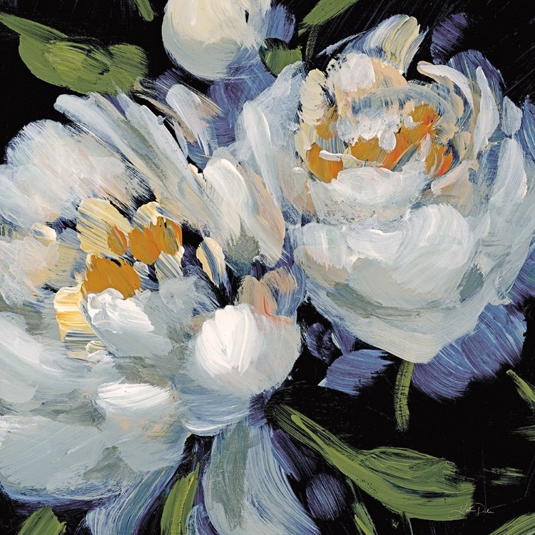 Picture of PEONY SEASON II CROP