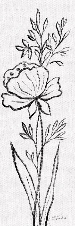 Picture of BLACK AND WHITE FLORAL III LINEN