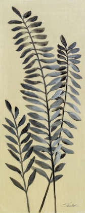 Picture of TALL FERN II