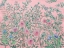 Picture of FRENCH GARDEN PINK