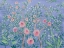 Picture of FRENCH GARDEN PURPLE