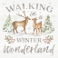 Picture of WINTER WONDERLAND II