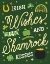 Picture of SHAMROCK WISHES II