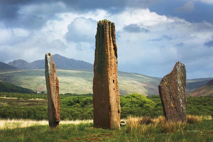 Picture of MACHRIE MOOR STANDING STONES