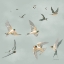 Picture of SWIFTS