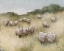 Picture of FLOCK