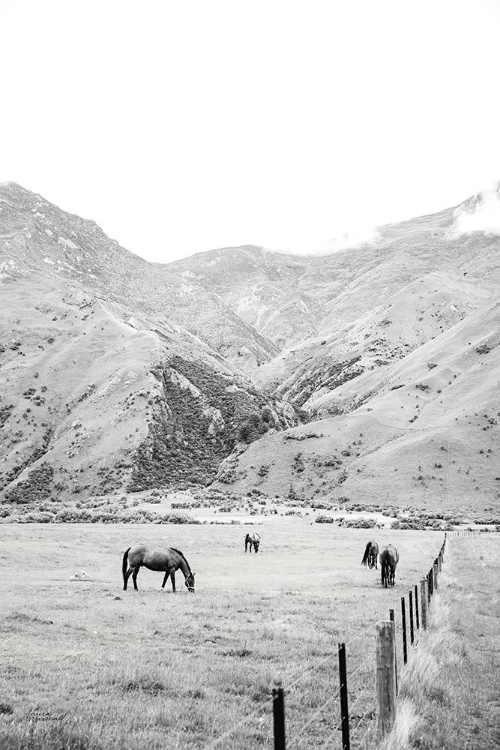 Picture of MOKE LAKE HORSES V