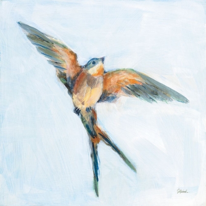 Picture of BARN SWALLOW FLIGHT I