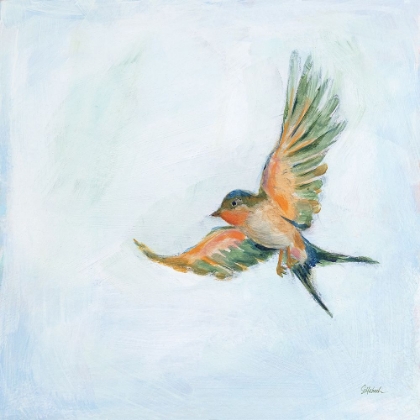 Picture of BARN SWALLOW FLIGHT III