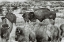 Picture of OPEN RANGE I