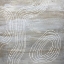 Picture of BEIGE ABSTRACT II