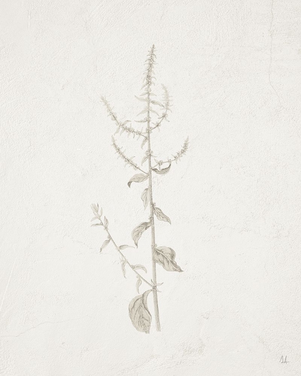 Picture of GIFTS FROM THE MEADOW VI
