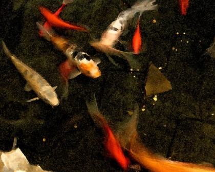 Picture of GOLDFISH POND II