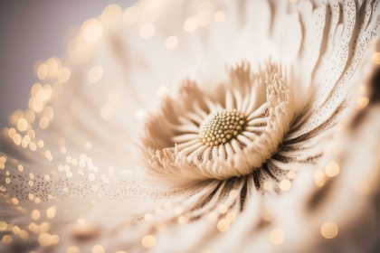 Picture of BEIGE CORAL FLOWER