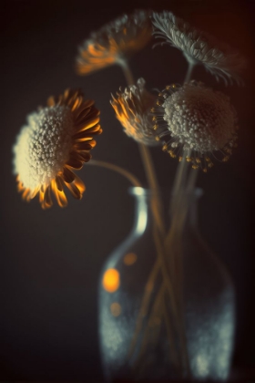 Picture of FLOWERS IN LOW LIGHT