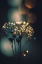 Picture of GLOWING DOTS