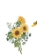 Picture of COLORFUL SUNFLOWER 1