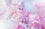Picture of OMBRE089FLOWER