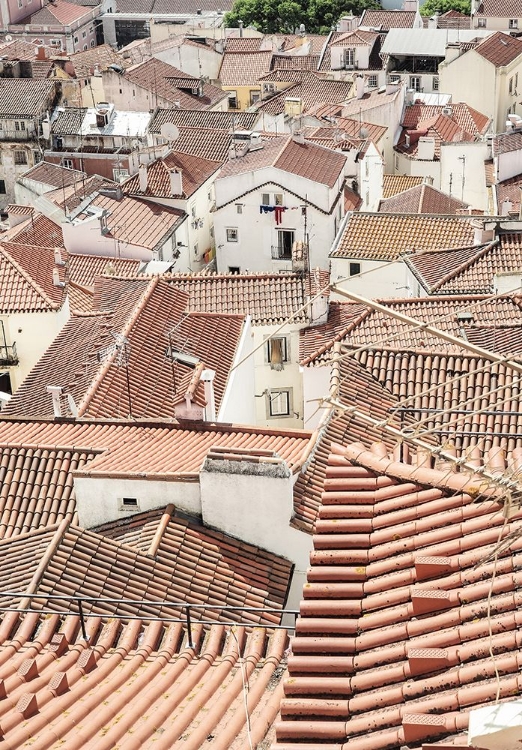 Picture of ALFAMA 02