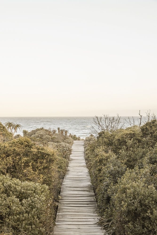 Picture of BOARDWALK