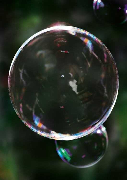 Picture of BUBBLE