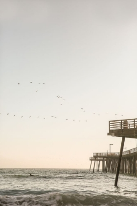 Picture of CALIFORNIA SURFERS