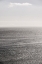 Picture of CARBON SEAS