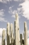 Picture of DESERT CATHEDRAL NO2