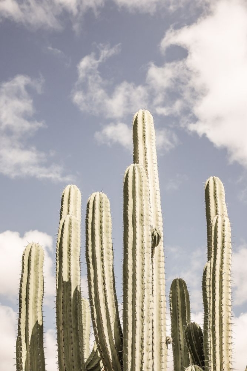 Picture of DESERT CATHEDRAL NO2