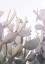 Picture of DESERT PRINCE 02