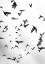 Picture of FLIGHT A FREEDOM NO5