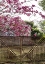 Picture of GARDEN GATE