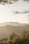 Picture of HOLLYWOOD