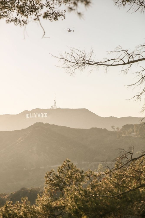 Picture of HOLLYWOOD