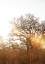Picture of HIGHVELD 02