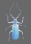 Picture of INSECT EVOLUTION