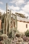 Picture of KAROO GARDEN 02
