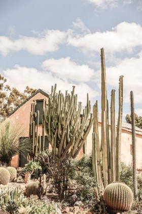 Picture of KAROO GARDEN
